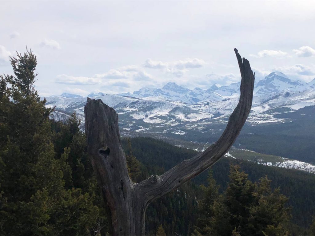 hiking Turtle Mountain in Crowsnest Pass