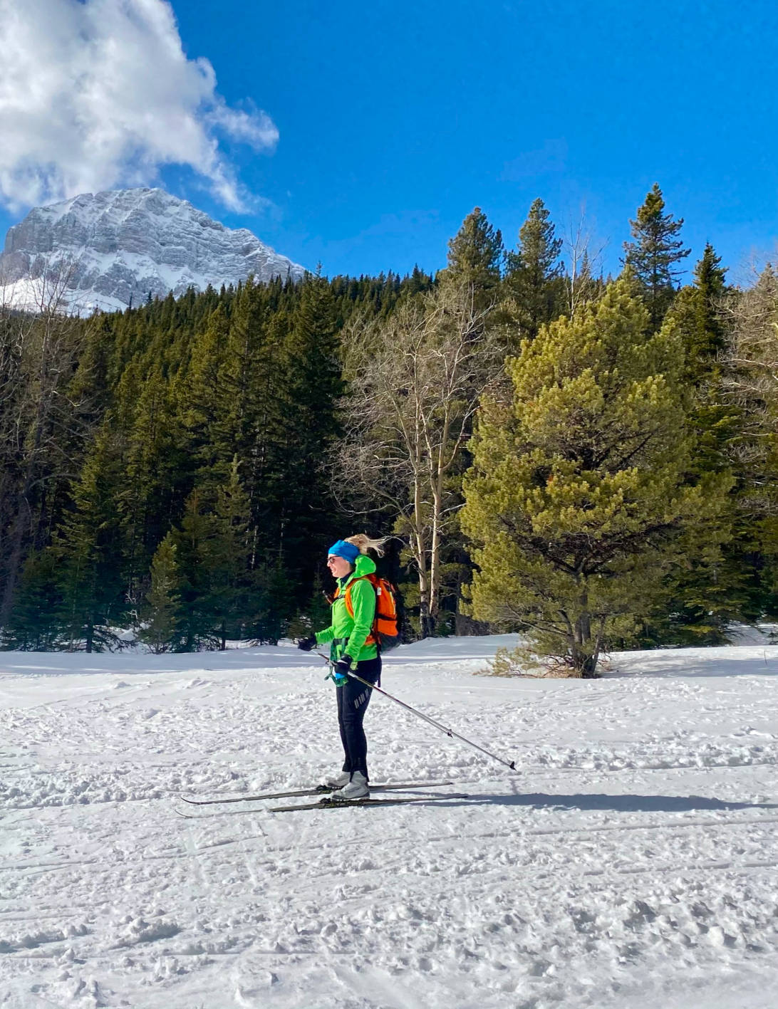 How to choose the right crosscountry skis for beginners